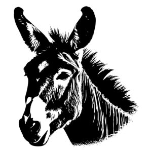 farm_animals_167999999977233.jpeg