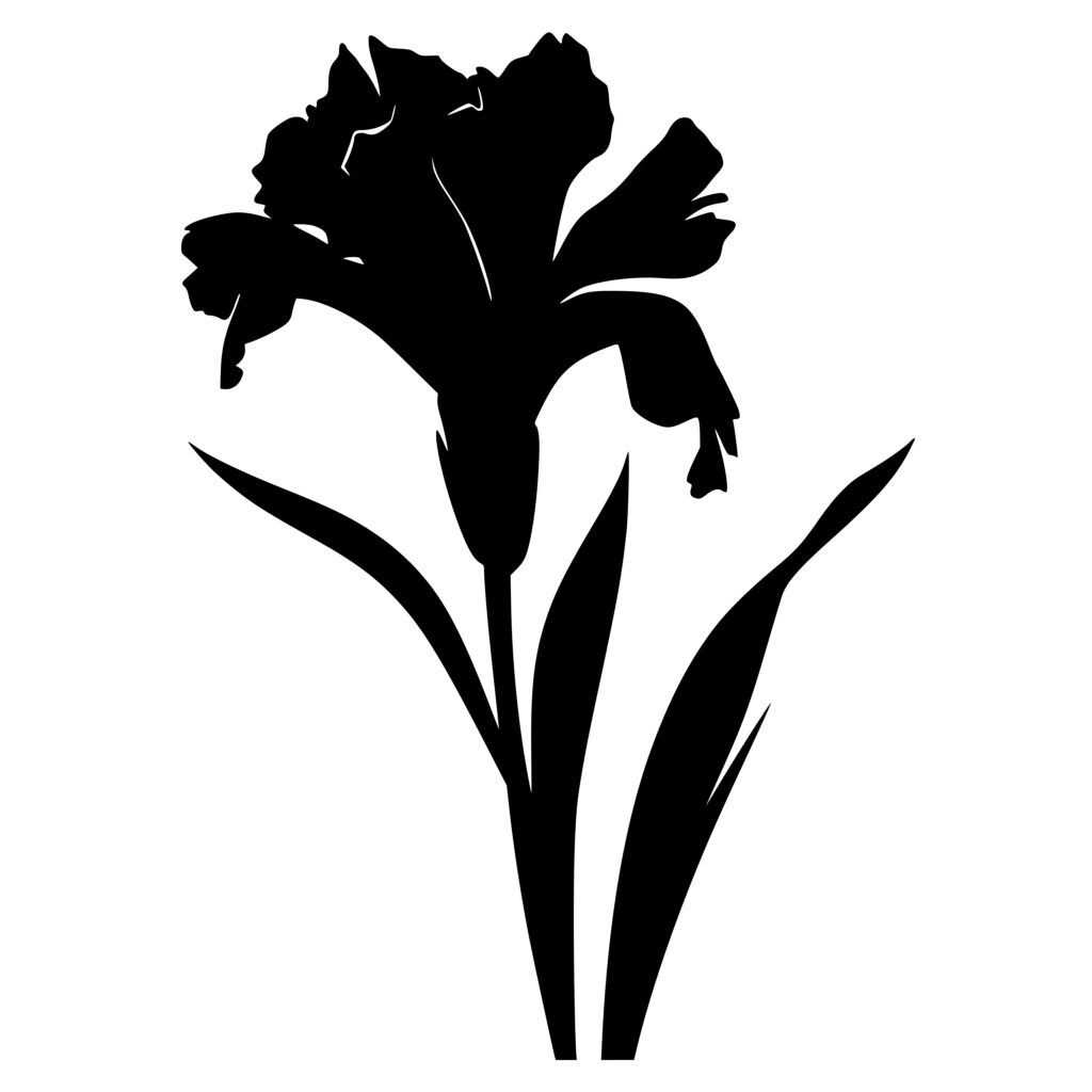 Gladiolus Flower SVG File: Instant Download for Cricut, Silhouette