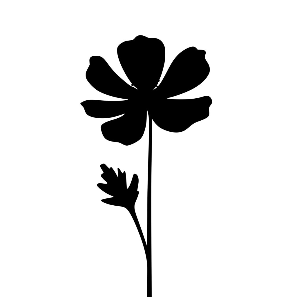 Instant Download Buttercup Flower SVG File for Cricut, Silhouette, Laser