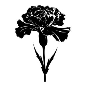 flowers_167969294550132.jpeg