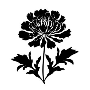 flowers_1679692950357707.jpeg