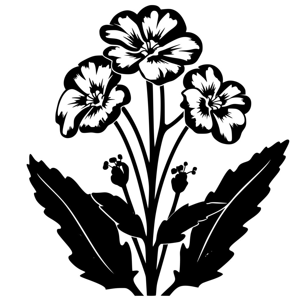 Primrose in Bloom: SVG, PNG, DXF Files for Cricut, Silhouette, and More