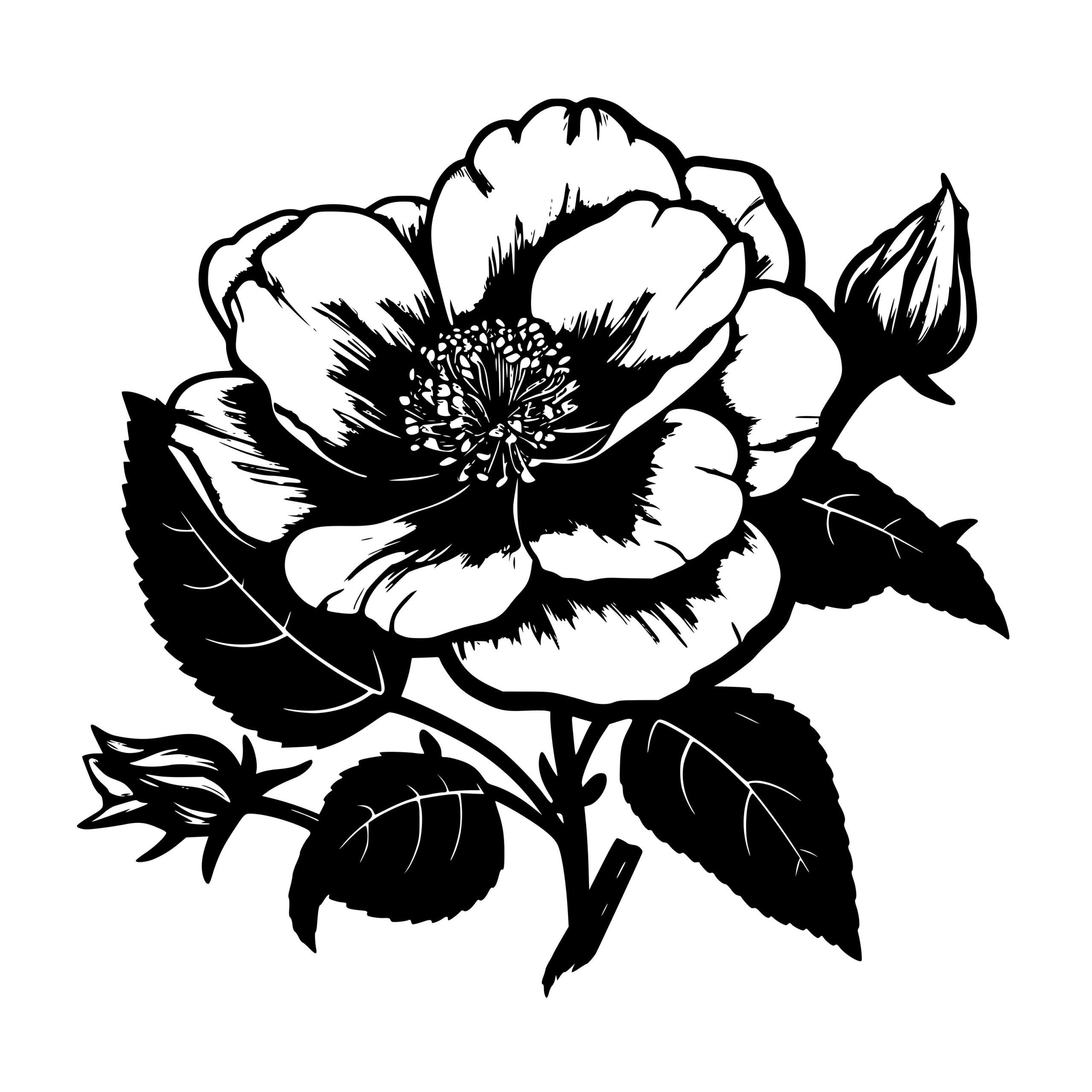 Beautiful Rose SVG File: Instant Download for Cricut, Silhouette, Laser