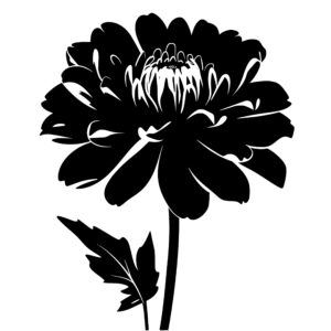 flowers_1679692960659430.jpeg