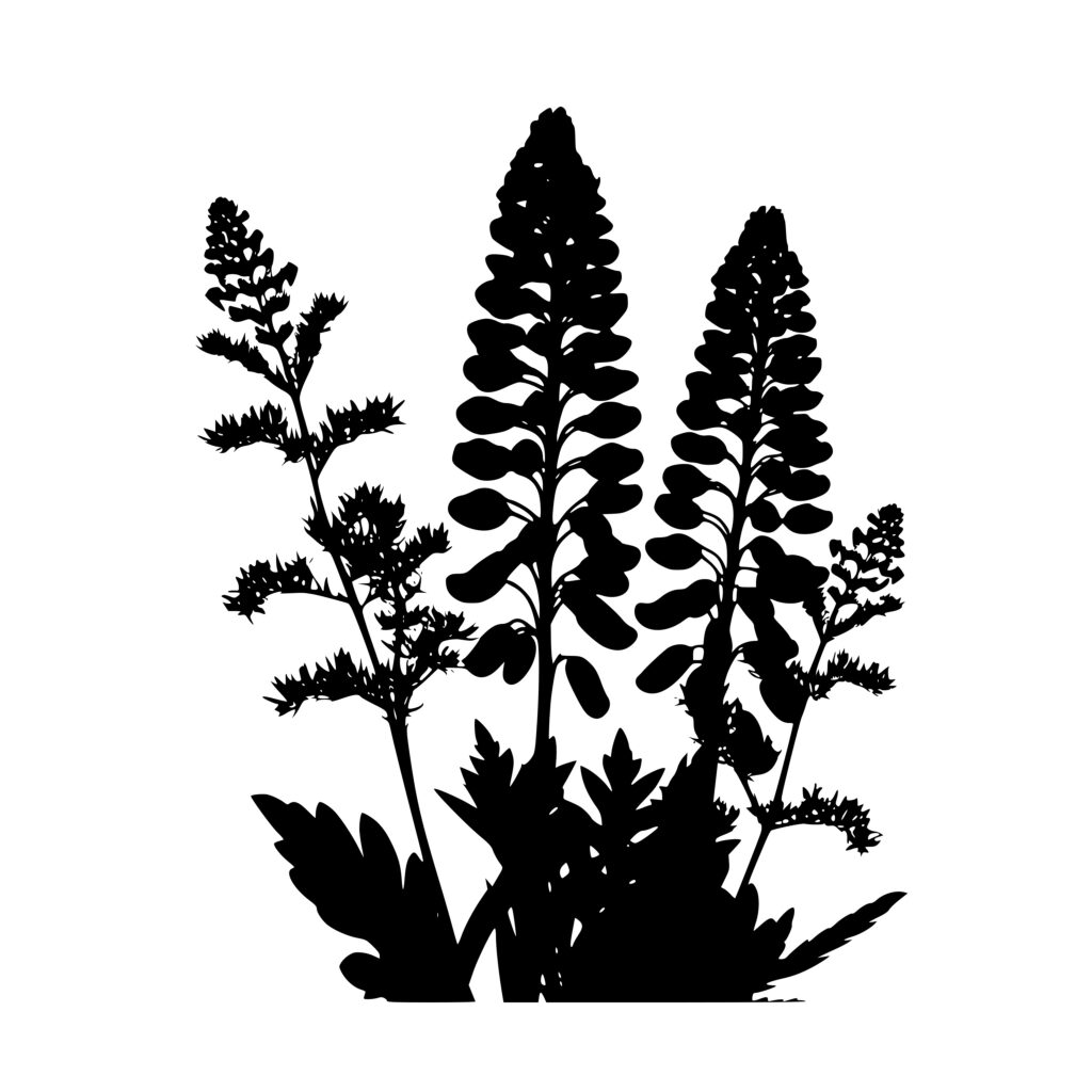 Lupine Bouquet SVG File for Cricut, Silhouette, Laser Machines