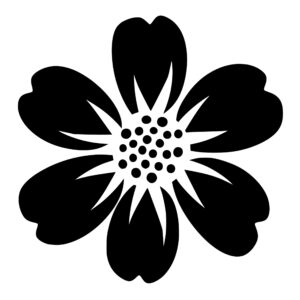flowers_1679864693449469.jpeg