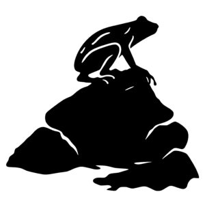 Frog Sitting on Rock