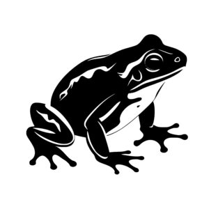 frogs_1679865095816128.jpeg