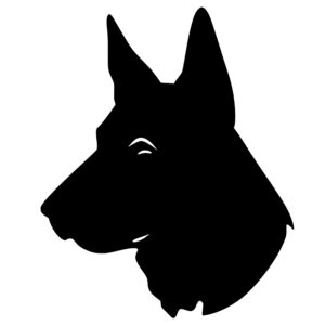 german_shepherd_1679864106563224.jpeg