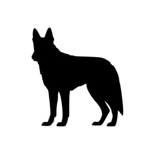 german_shepherd_1679864693528191.jpeg