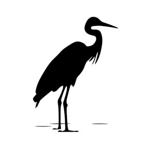heron_1679864106658863.jpeg