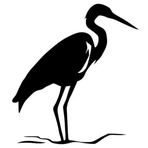 heron_1679864106667670.jpeg