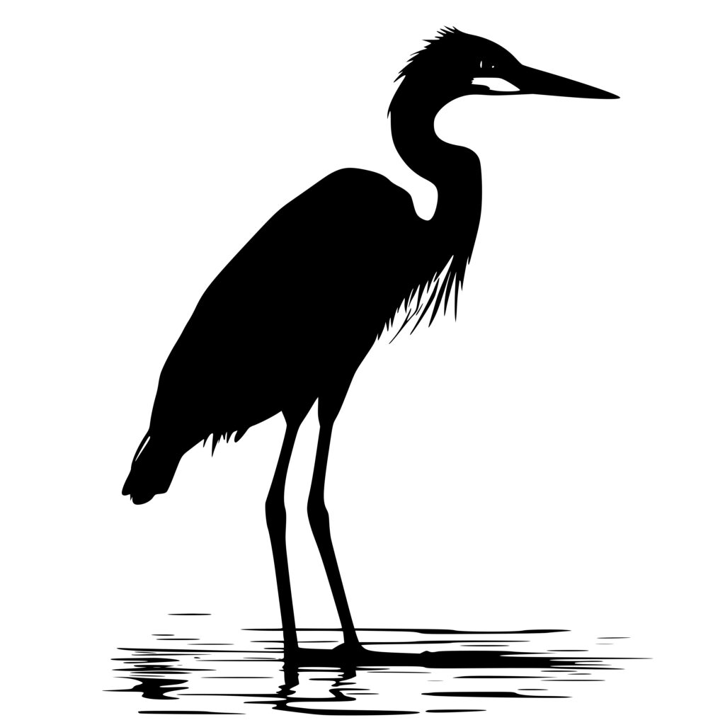 Egret in Water SVG File: Instant Download for Cricut, Silhouette, Laser