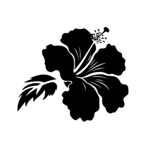 hibiscus_1679999491706507.jpeg