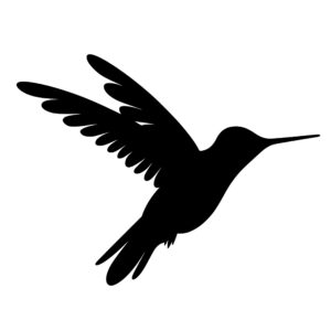 humming_bird_1679864703812041.jpeg