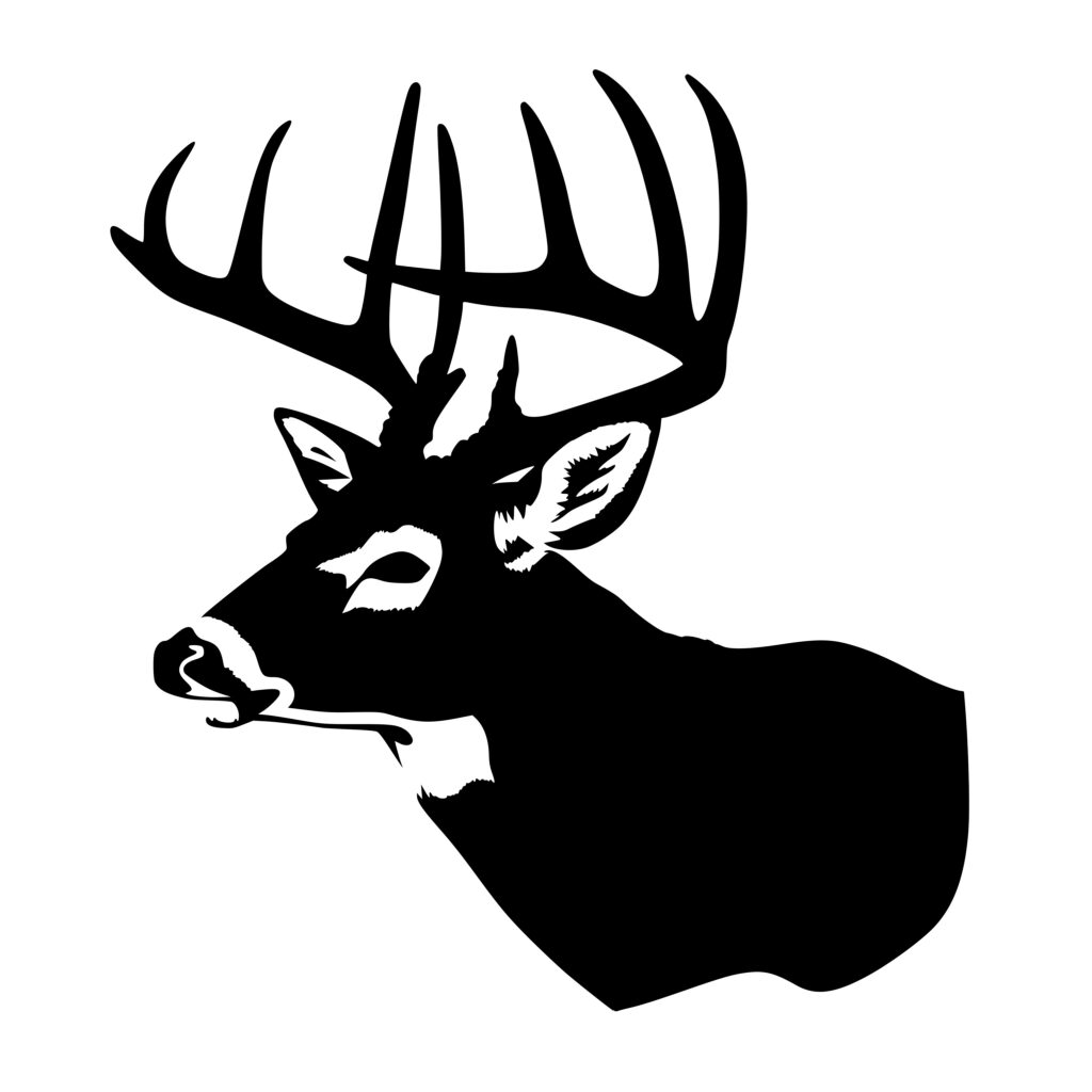 Big Buck Encounter SVG File: Perfect for Cricut, Silhouette, and Laser ...