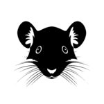mice_rats_1679865106233122.jpeg