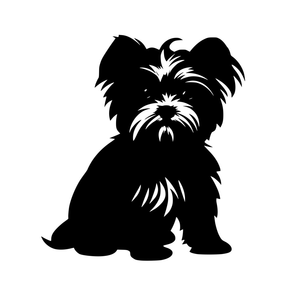 Instant Download Tiny Morkie Treasure SVG File for Cricut, Silhouette ...