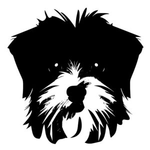 morkie_1679999729554229.jpeg