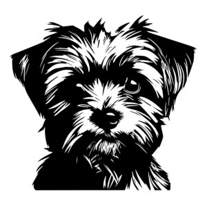 morkie_1679999804174268.jpeg