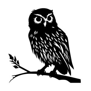 owl_1679346079740814.jpeg