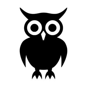 owl_1679864498447108.jpeg