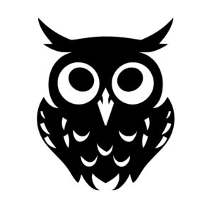 owl_1679864498455925.jpeg