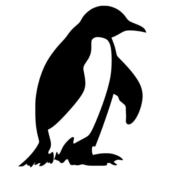 penguins_1679692755298213.jpeg