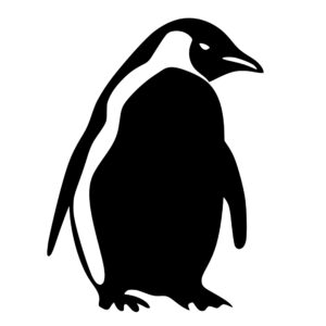 penguins_1679692755315479.jpeg