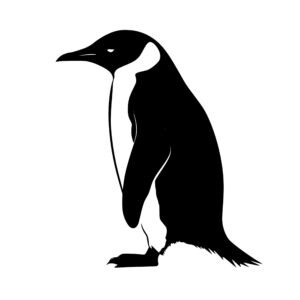 penguins_1679865207102546.jpeg