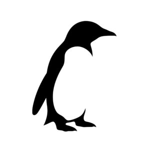 penguins_1679865207111737.jpeg