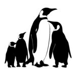 penguins_167986520754702.jpeg