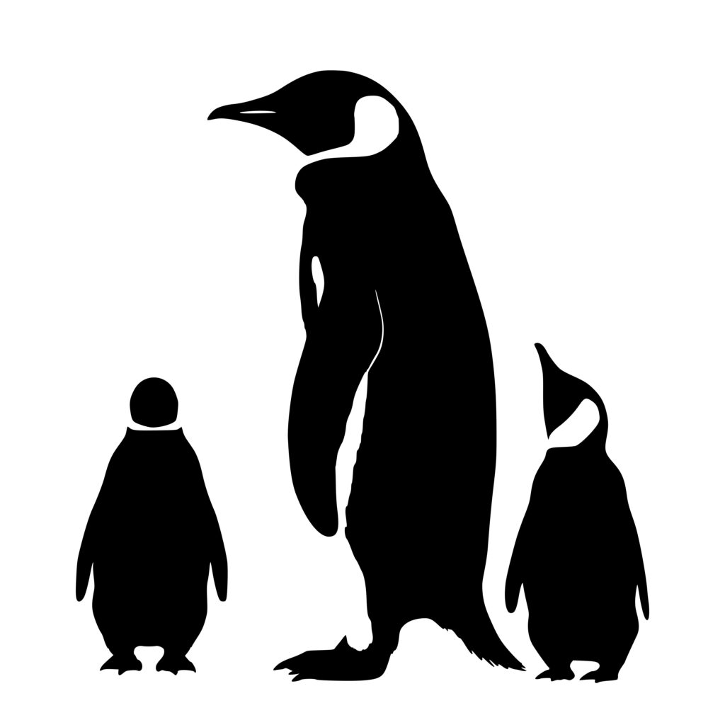Penguin Family SVG/DXF/PNG Download for Cricut, Silhouette, and Laser