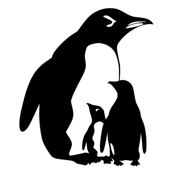 penguins_167986520783053.jpeg