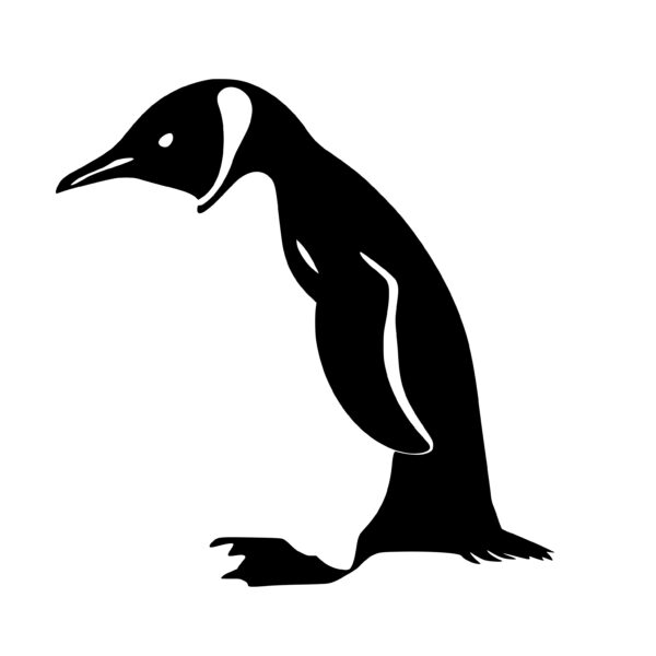 penguins_1679865212171276.jpeg