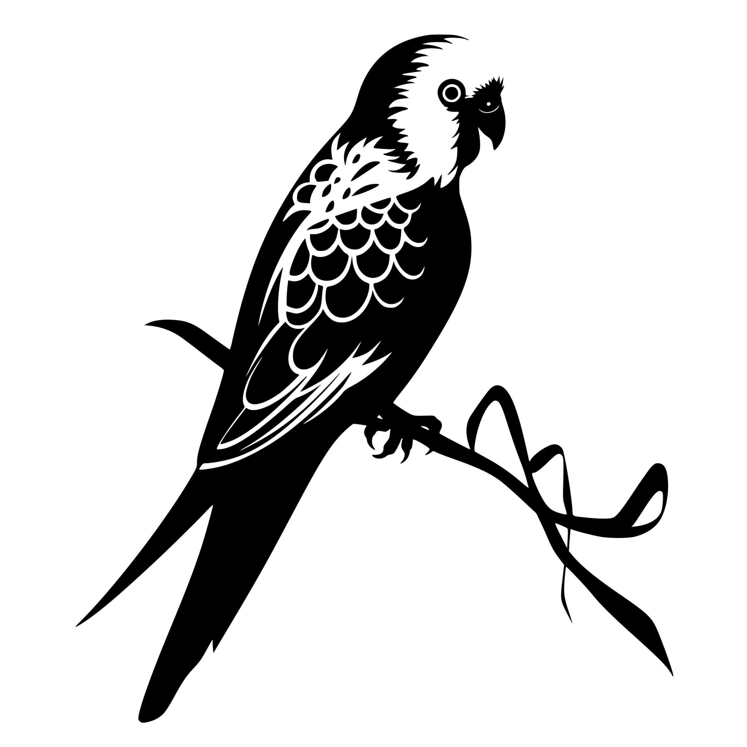 Parakeet on Branch: SVG File for Cricut, Silhouette, Laser Machines