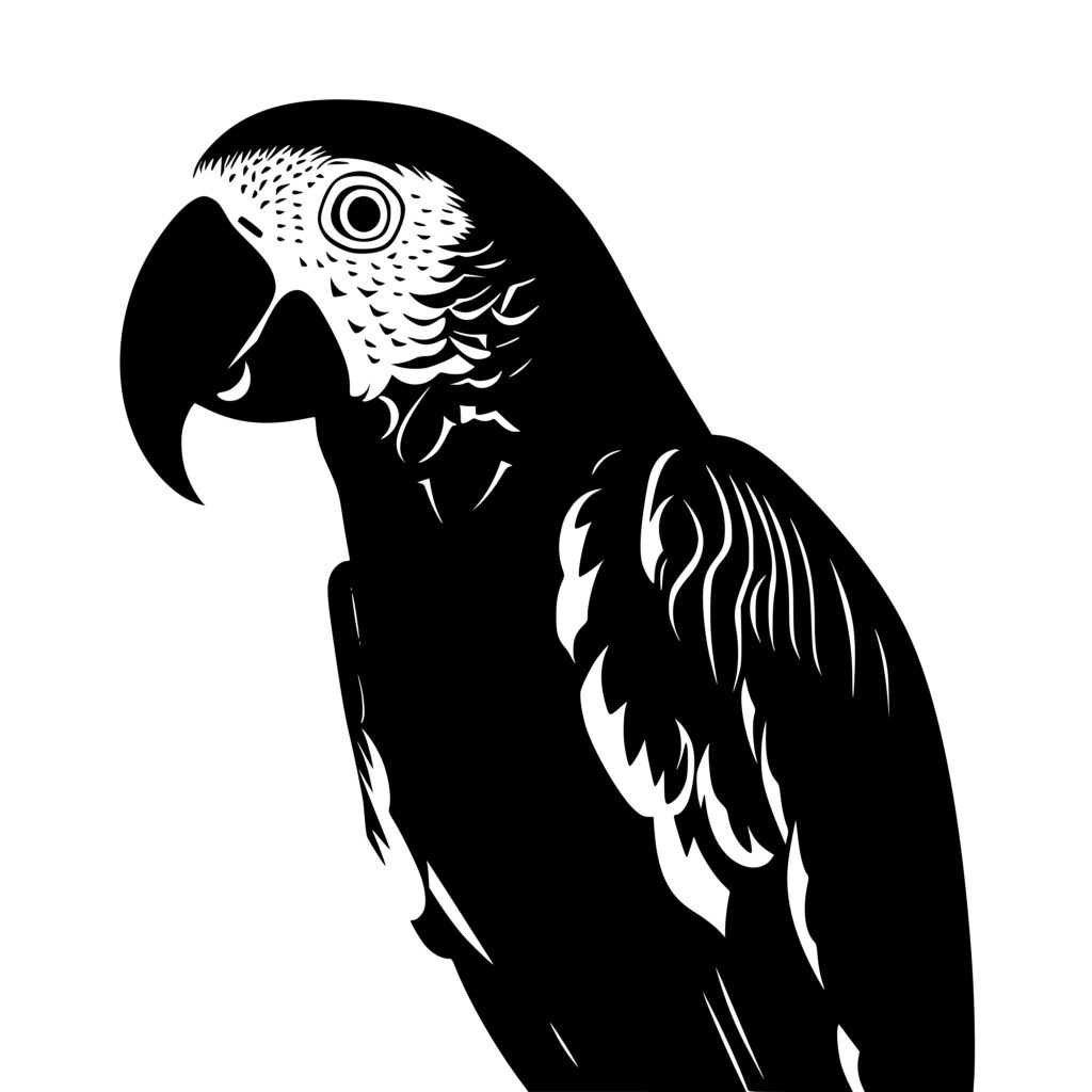 Elegant Parrot SVG Image: Instant Download for Cricut, Silhouette ...