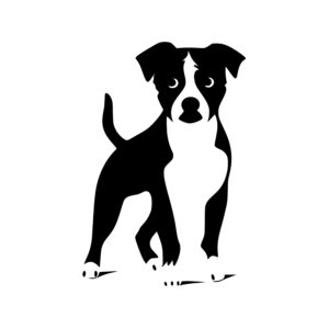 pets_1679865212215373.jpeg