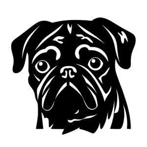 pug_dog_16799993489764.jpeg