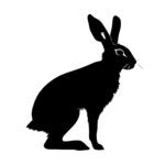 rabbits_1679865095851448.jpeg