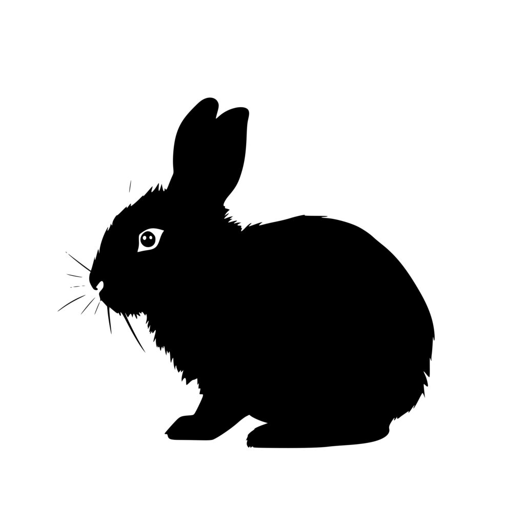 Small Bunny SVG Image: Instant Download for Cricut, Silhouette, Laser