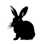rabbits_1679865106224327.jpeg