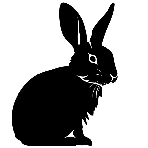 rabbits_1679865212225688.jpeg