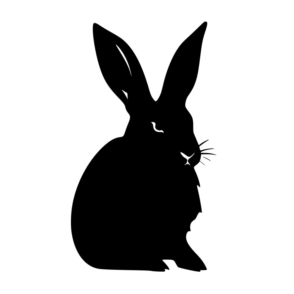 Fluffy Bunny - Instant Download SVG, PNG, DXF Files for Cricut ...