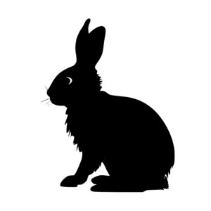 Bunny Side Portrait