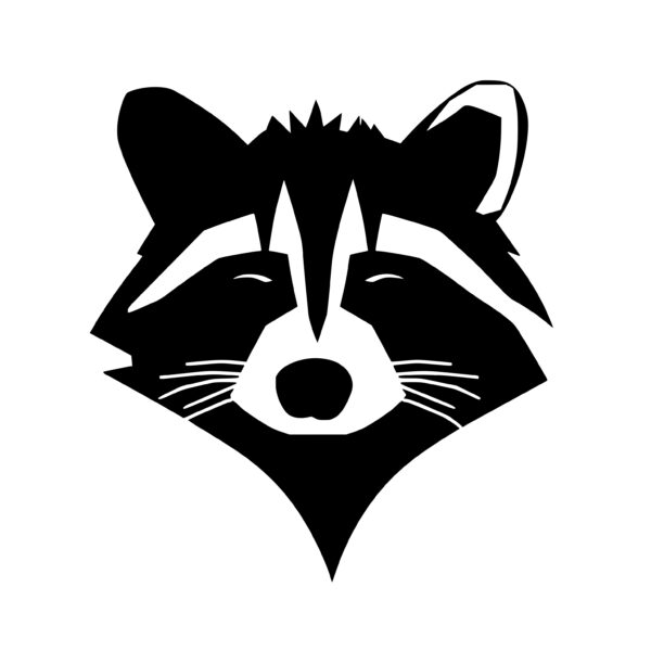 raccoon_1679864503613846.jpeg