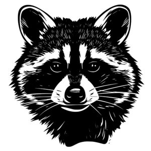 raccoon_1679999875357373.jpeg
