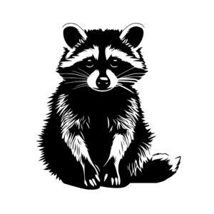 raccoon_1679999875366642.jpeg