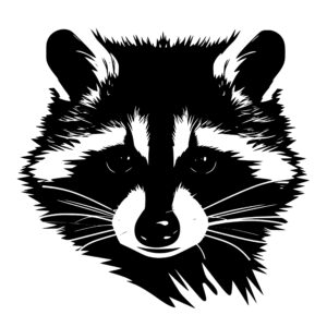raccoon_1679999875375330.jpeg