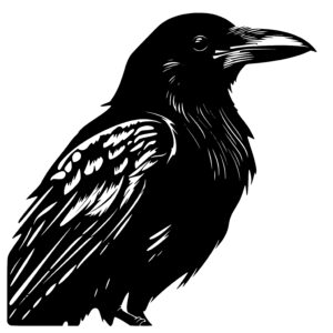 Realistic Crow